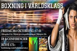 Proffsboxning Live " Afterwork"