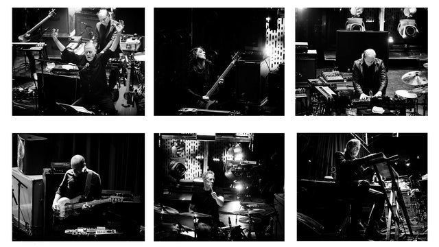 Swans