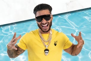 DJ Pauly D