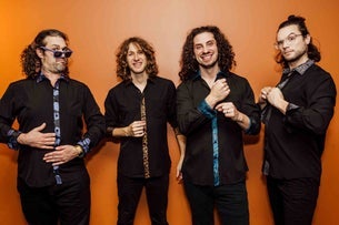 Pigeons Playing Ping Pong | The Infamous Stringdusters | Melt