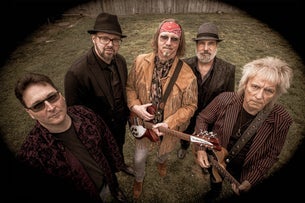 Damn The Torpedoes - A Tribute to Tom Petty and the Heartbreakers