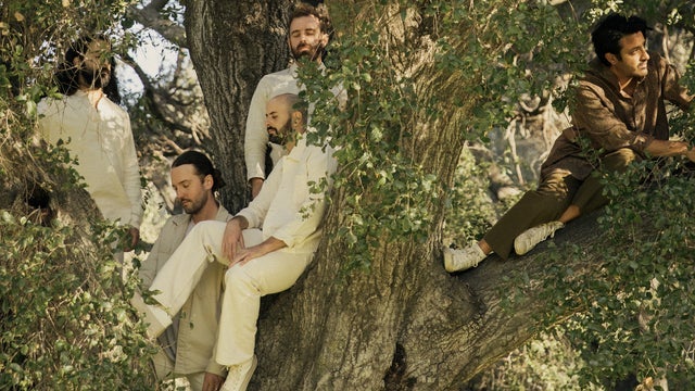 Young the Giant