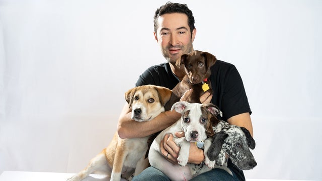 The Dogist