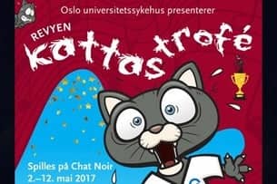 «Kattastrofé»
