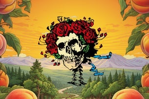 Live Dead & Brothers Perform The Music of Grateful Dead & Allman Bros.