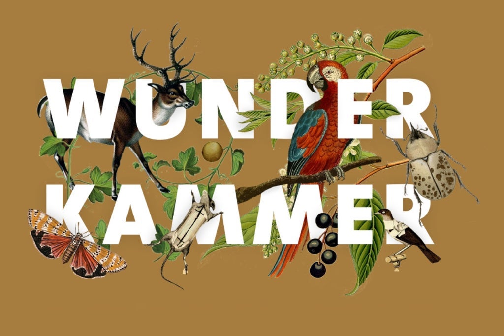 Wunderkammer: A Taxidermy Showcase and Competition