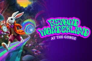 Beyond Wonderland at the Gorge