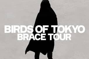 Birds of Tokyo