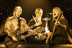 Zebra - 50th Anniversary