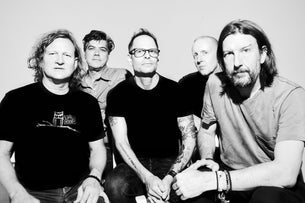 Gin Blossoms