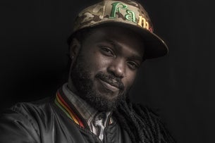 The Wailers 2025 Natural Mystic 30th Anniversary Tour! 