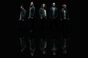 A Lot Like Birds