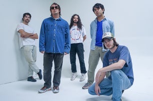 Narrow Head / Laffing Gas