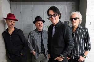 The Bongos Reunion and CD Release with Special guest - The Grip Weeds