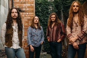 The Band Feel