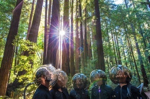STS9 - All Good Now Pre Party
