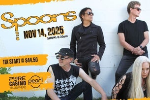 Spoons