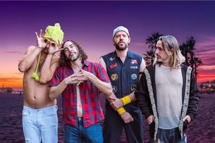 The Chili Poppers: A Tribute to the Red Hot Chili Peppers