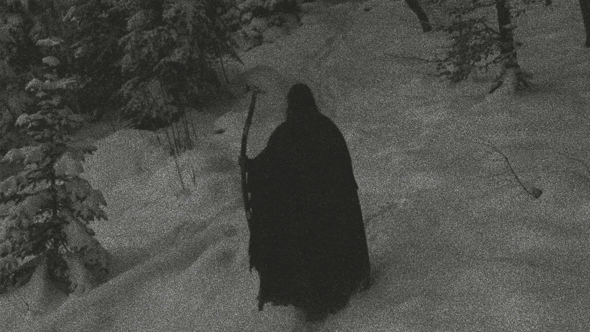 Taake