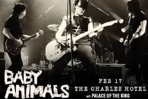 Baby Animals