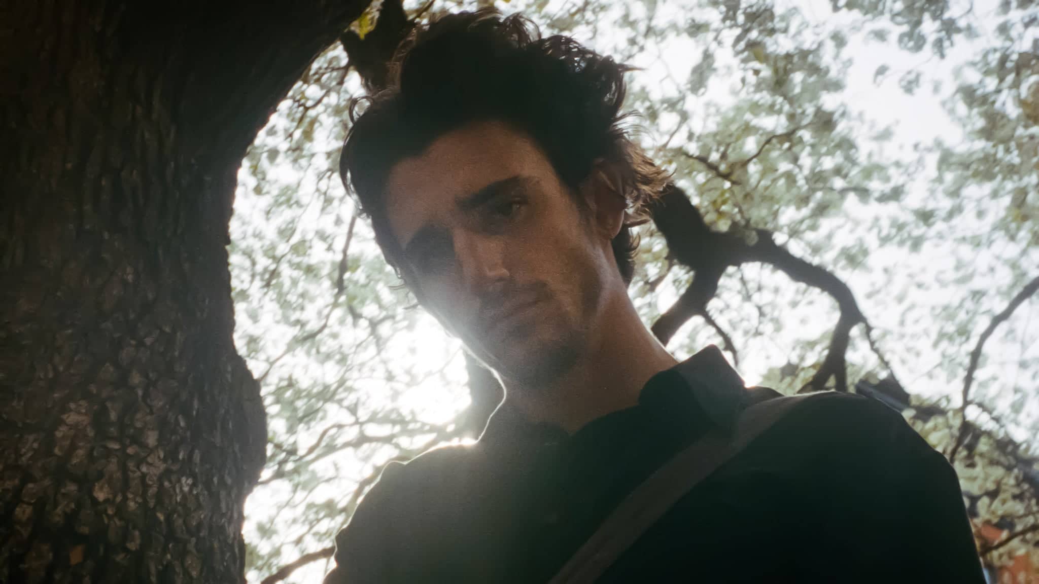 Tamino
